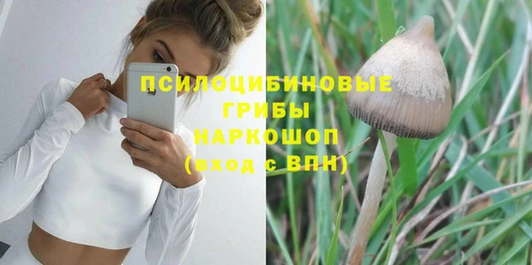 шишки Абинск