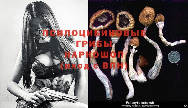 кокс Абдулино