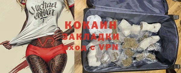шишки Абинск