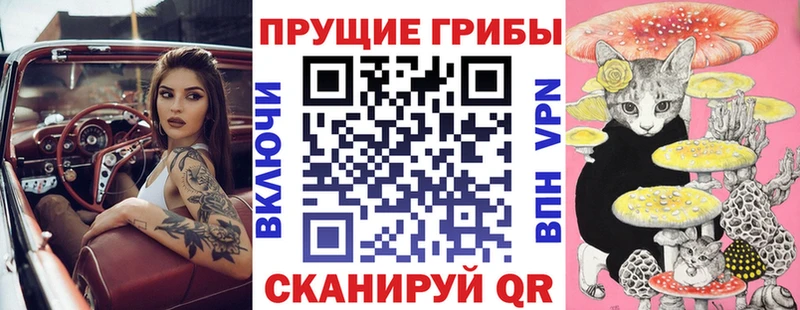 наркота  Новое Девяткино  blacksprut рабочий сайт  Галлюциногенные грибы Psilocybine cubensis 